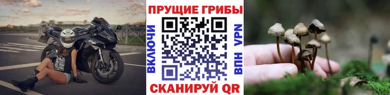 Псилоцибиновые грибы мухоморы  Льгов 